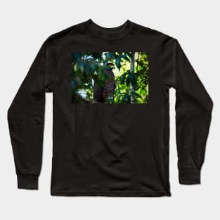 Eagle blue / Swiss Artwork Photography Long Sleeve T-Shirt